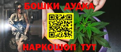 стафф Новодвинск