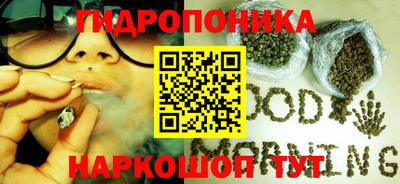 СК Новокубанск