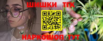 стафф Новодвинск