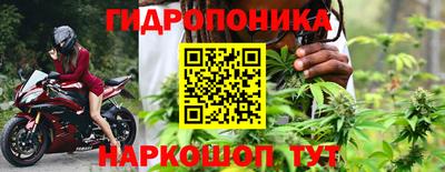 СК Новокубанск