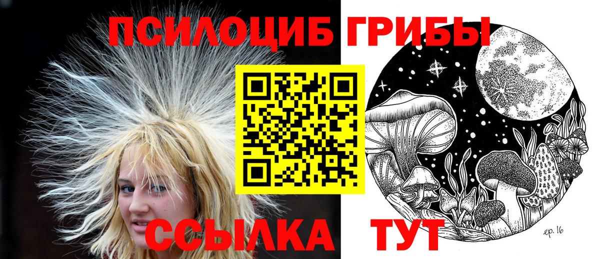Псилоцибиновые грибы MAGIC MUSHROOMS  Галлюциногенные грибы Magic Shrooms  Скопин  Вход с VPN 